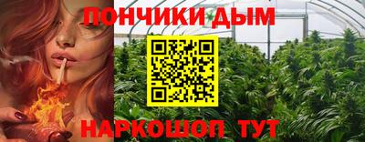 2c-b Камышлов