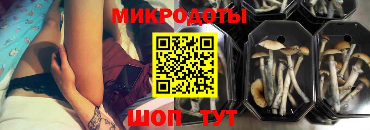 Псилоцибиновые грибы Magic Shrooms  Вход с VPN  цена наркотик  Кубинка 